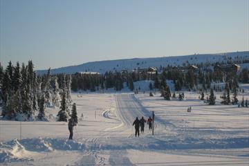 Crosscountry skiing at Gaiastova