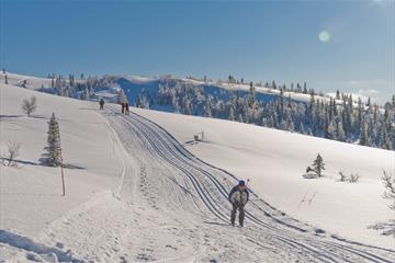 Veslefjell Rundt (12 km)