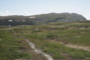 Kvitfjell - Storfjellet (38,6 km)