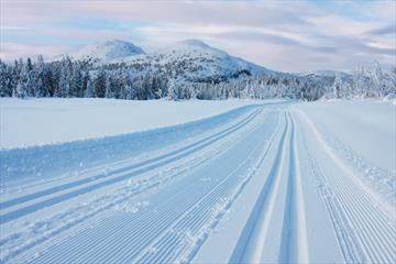 Crosscountry tracks at Sjusjøen