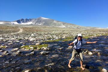 Female hiker crosses a river with Snøhetta in the background | Venabu Fjellhotell