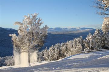 View Espedaken in winter