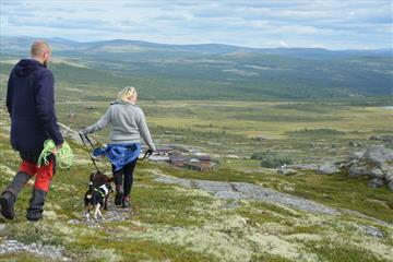 Viewpoint Flaksjølihøgda(1,5 km)