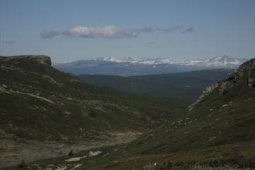 View towards Skardbua