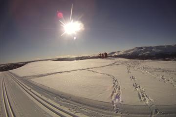 Ski tracks at Gålå