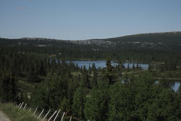 Utsikt over fjellvann