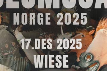 Slomosa på Wiese