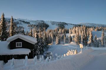 Vinter Gudbrandsgard Hyttegrend