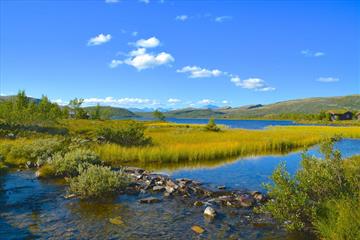 Svartfjellrunden (12km)