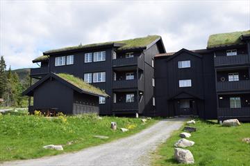 Leiligheter på skeikampen