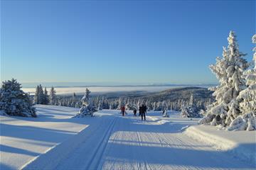 Copy of 'Skiguide Cross Country | Aktiv i Natur'