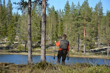 Fishing for brown trout in the Lillehammer region - course/guiding