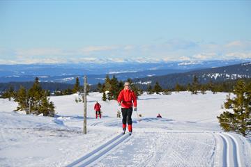 Crosscountry skiing