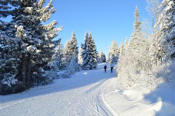 Cross country skiing at Nordseter