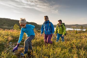 Skeikampen Rundt (8km)