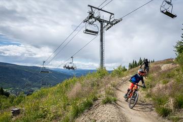Downhill parks on sale