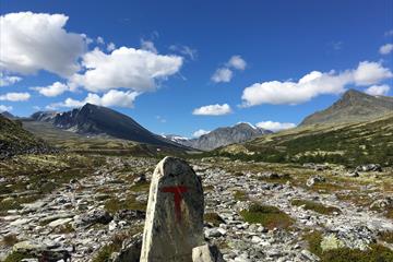 Footpath in the Rondane National Park | Venabu Fjellhotell