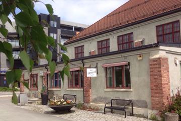 Moelvdagene