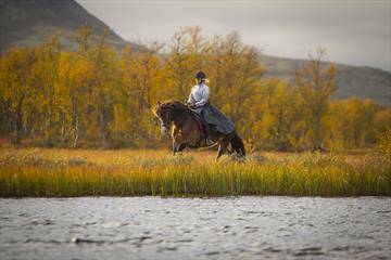 Horse and rider canter by a mountain lake