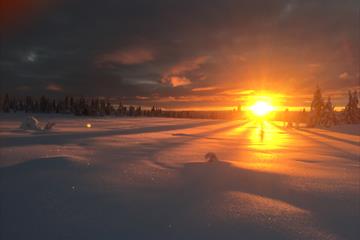 Copy of 'Copy of 'Skiguide Cross Country | Aktiv i Natur''