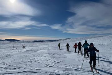 A group of nordic skiers off track with Venabu Fjellhotell