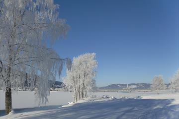 Vinter langs Mjøsa