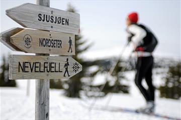 Cross-country skiing in Lillehammer | Discover Norway