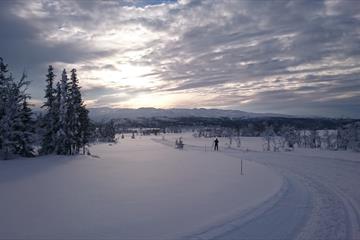 Spåtind Fjellstue - Skjervungsrunden/Rokvamsætra 7,5/14,5 km