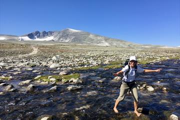 Female hiker crossing river, Snøhetta in background | Venabu Fjellhotell