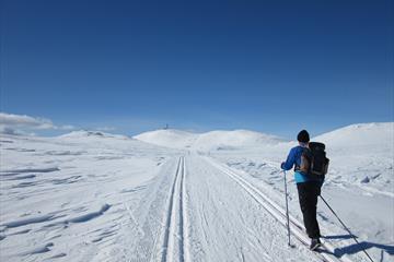 Spåtind Fjellstue– Lundssætrene – Lenningen – Spåtindtoppen – Krokhølen – Spåtind Fjellstue 45 km