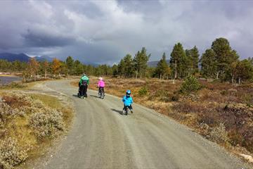 Barnefamilie på tur bortover en grusvei