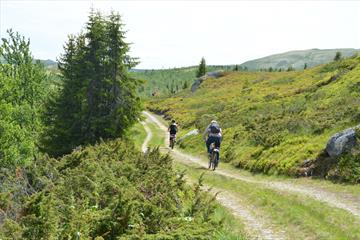 Family trip to Svartfjell (10 km)