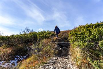 Djuptjernskampen 1325 m a.s.l.