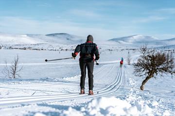 Cross country skier in freshly cut tracks on a beautiful day | Venabu Fjellhotell