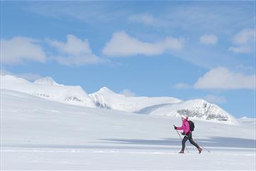 Cross Country Skiing