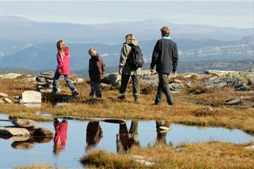 Vandring på Skeikampen