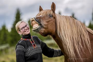 Happy horses and guides