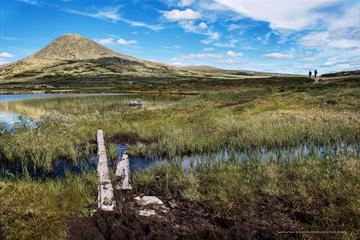 Hiking near Muen, Venabygdsfjellet