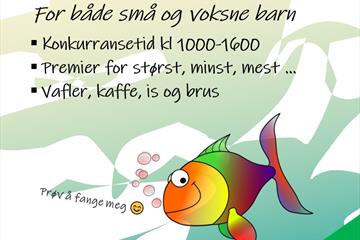 FjellFiskeFestival