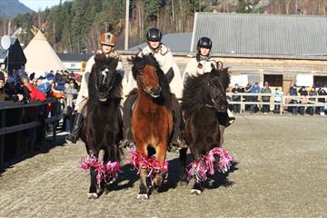 Islandsjenter Stavsmarn