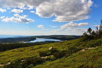Berglauf Sjusjøen