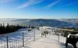 Hafjelltoppen Fjellgrend