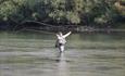 Fishing for brown trout in Langsua national park