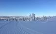 Well groomed tracks towards Lillehammer