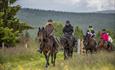 Gruppe koser seg på ridetur i naturen | Venabu Fjellhotell