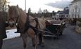 Horse sleigh ride