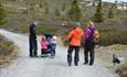 Family taking a hike with their children