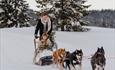 Dog sledding