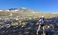 Female hiker crosses a river with Snøhetta in the background | Venabu Fjellhotell