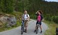 Bicycling with Discover nature Norway